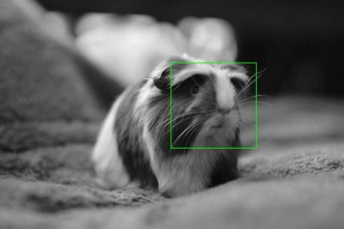 Photo Sharing for Magic Illusion #384<br>500 x 333<br>Published 8 years ago